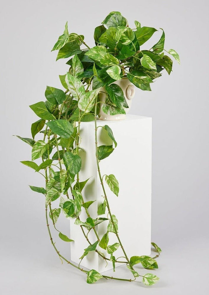 Afloral Natural Touch Pothos Artificial Plant - 48" - lily & onyx