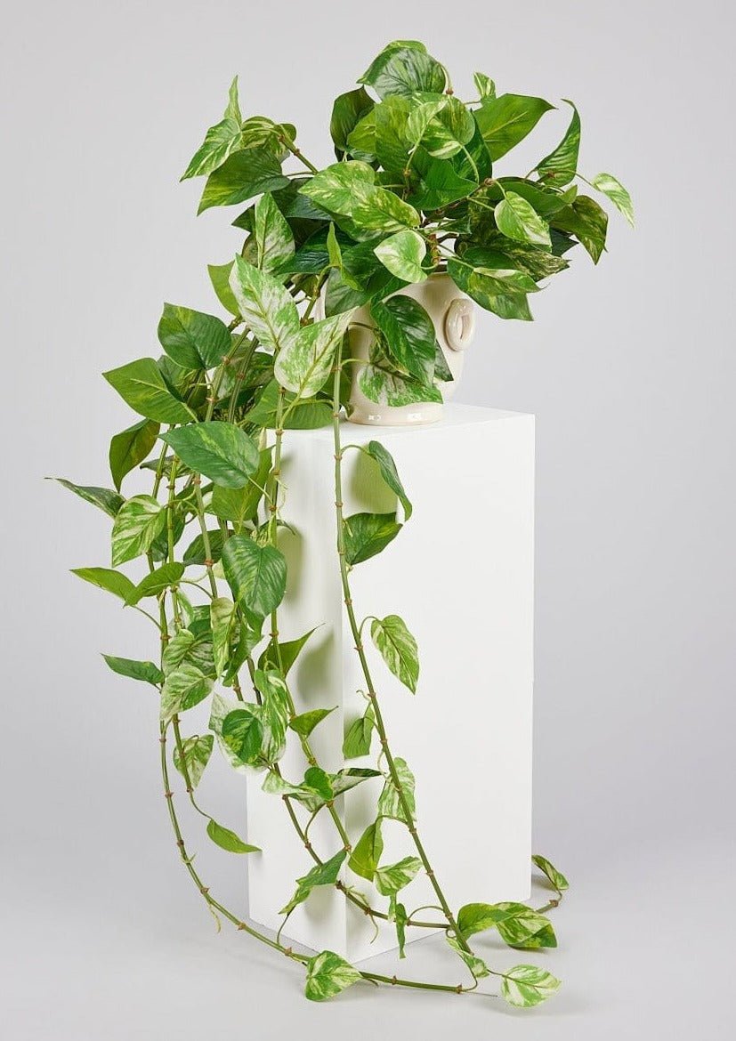 Afloral Natural Touch Pothos Artificial Plant - 48