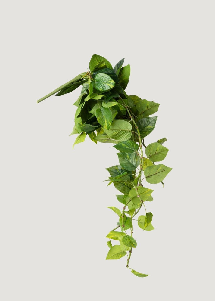 
                      
                        Afloral Natural Touch Pothos Artificial Plant - 48" - lily & onyx
                      
                    