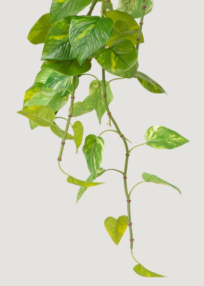 
                      
                        Afloral Natural Touch Variegated Pothos - Fake Hanging Plant - 27" - lily & onyx
                      
                    