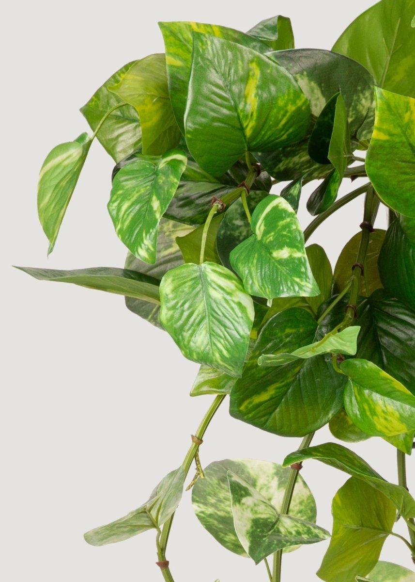 fake pothos Natural Touch Variegated Pothos - Fake Hanging Plant - 27"