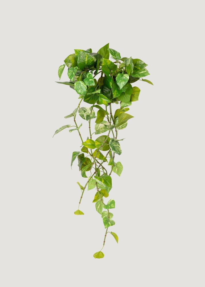 Afloral Natural Touch Variegated Pothos - Fake Hanging Plant - 27" - lily & onyx