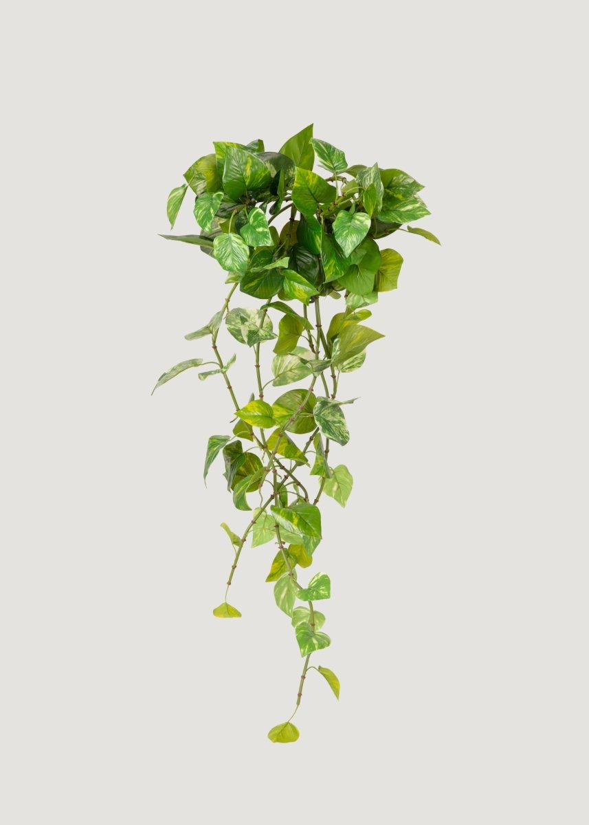 Afloral Natural Touch Variegated Pothos - Fake Hanging Plant - 27