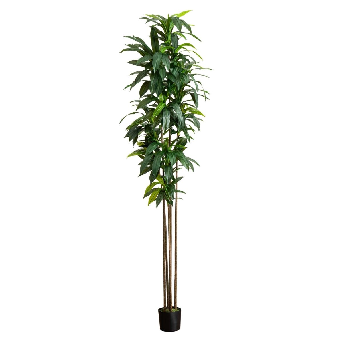Nearly Natural 10’ Artificial Dracaena Tree with Real Touch Leaves