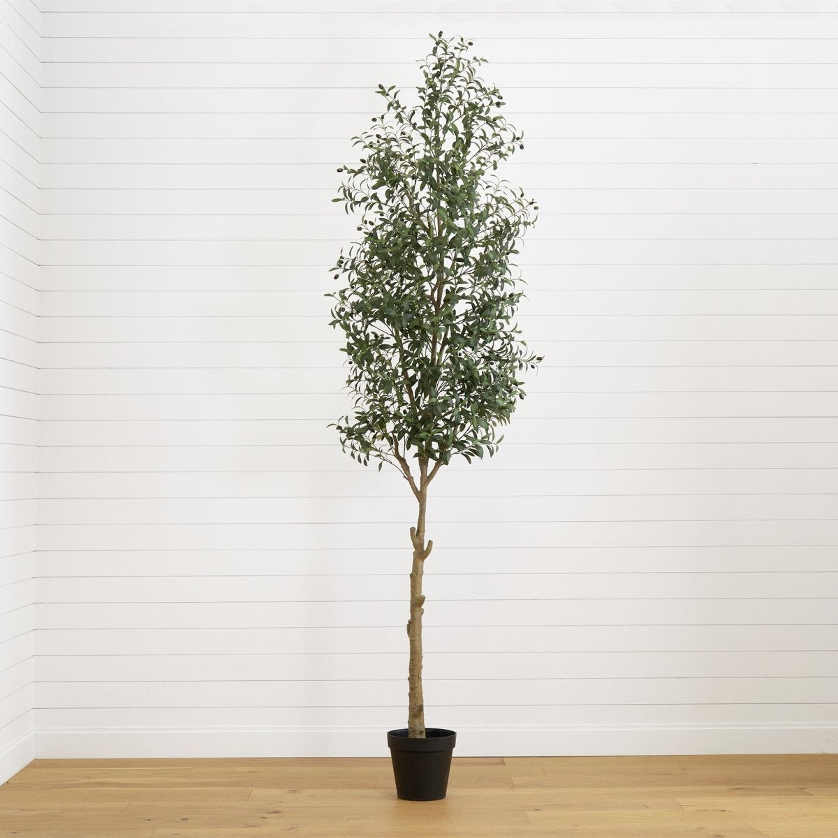 Nearly Natural 10' Artificial Olive Tree with Realistic Olives - Indoor Faux Plant