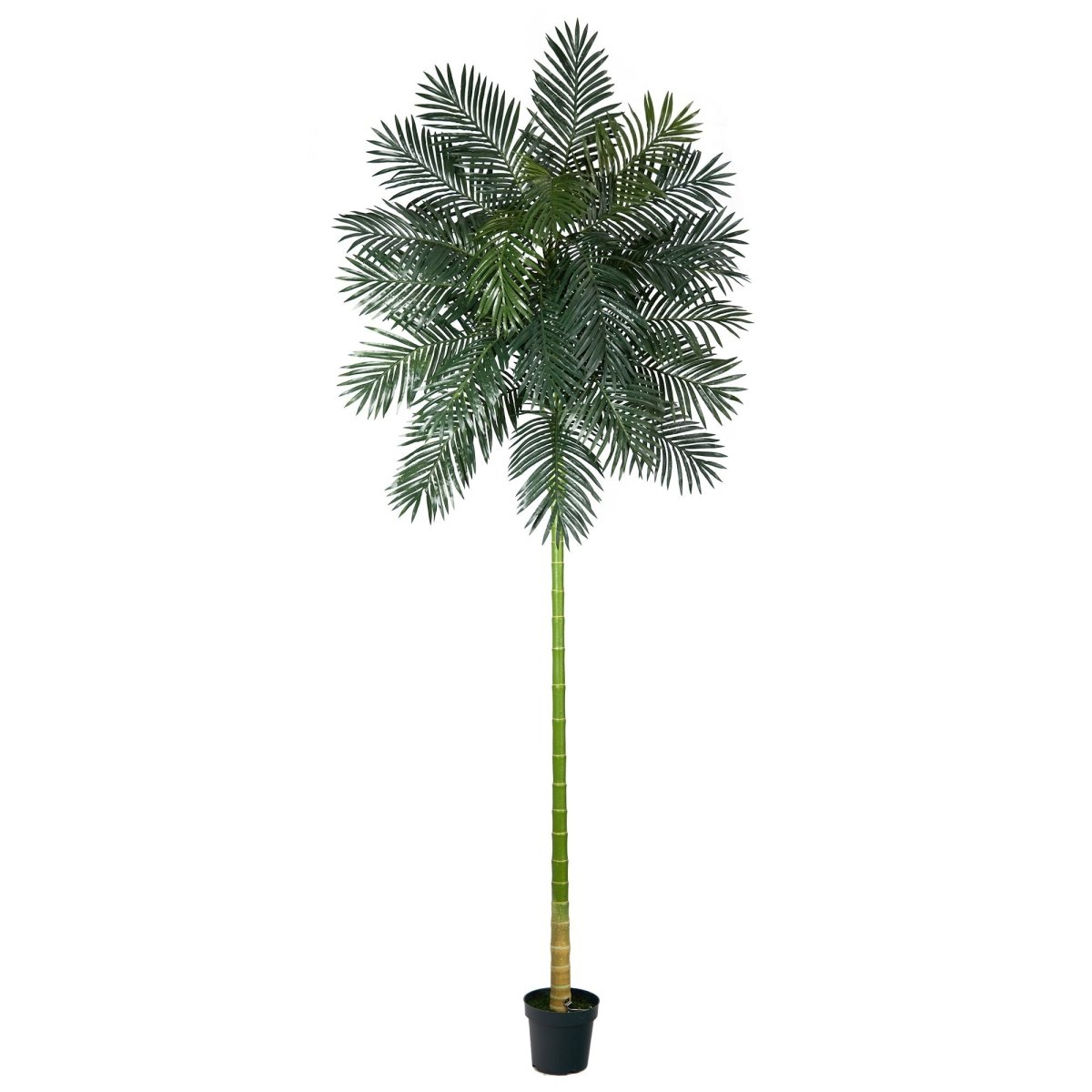 cane palm indoor plant Nearly Natural 10 ft. Artificial Golden Cane Palm Tree