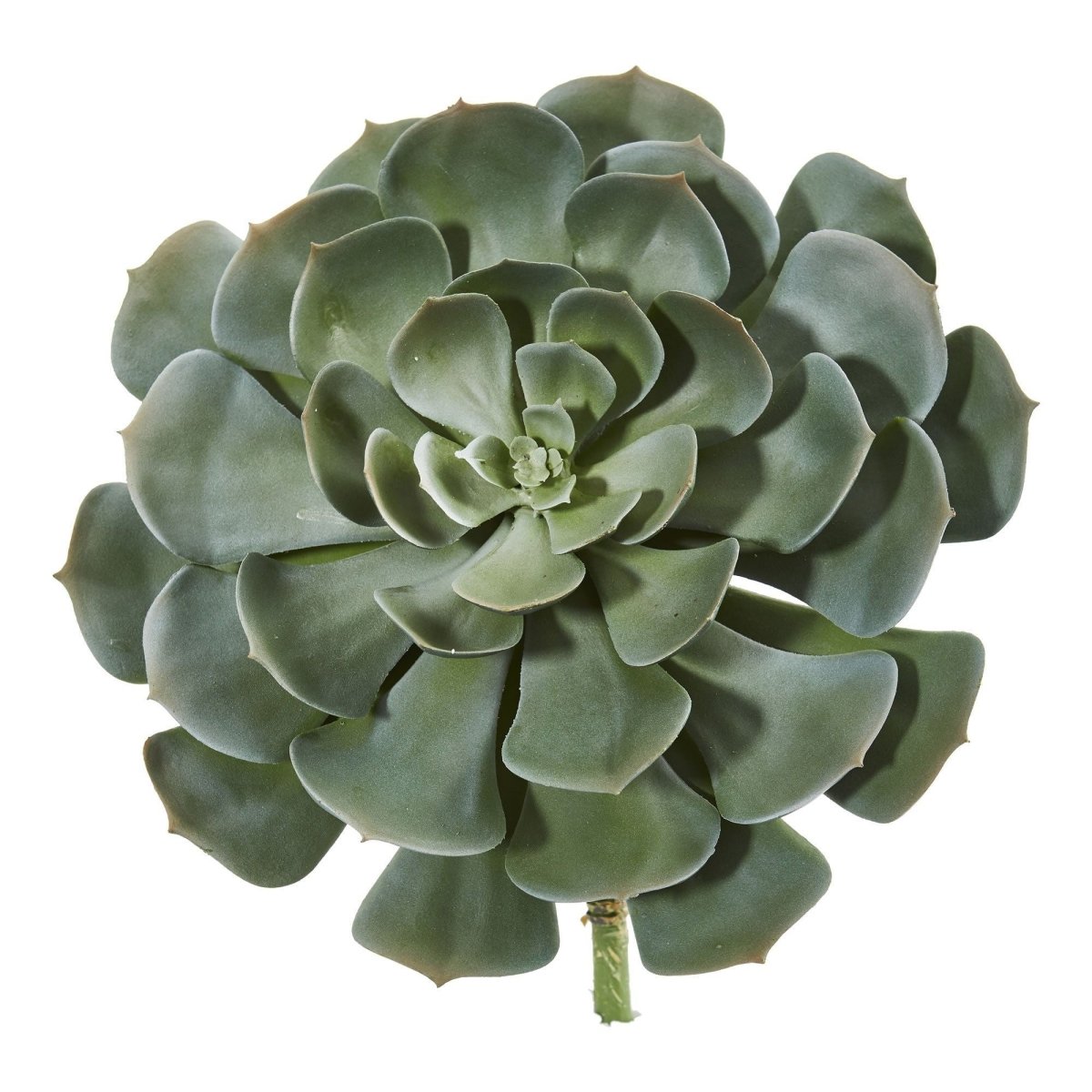 Nearly Natural 13” Giant Echeveria Succulent Pick Artificial Plant (Set of 2)