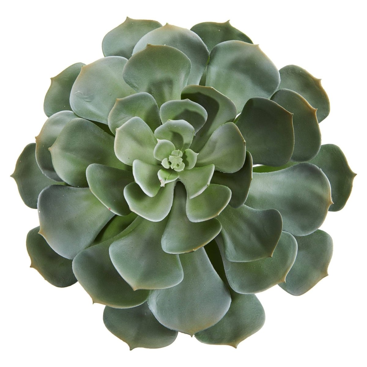 Nearly Natural 13” Giant Echeveria Succulent Pick Artificial Plant (Set of 2)