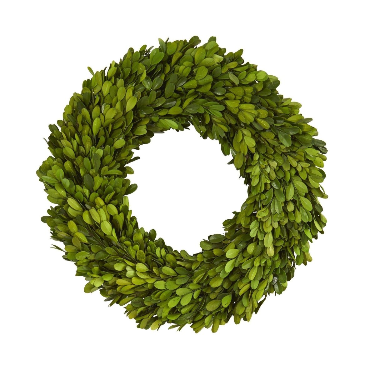 Nearly Natural 14" Preserved Boxwood Wreath - Natural Green Year - Round Door Decor