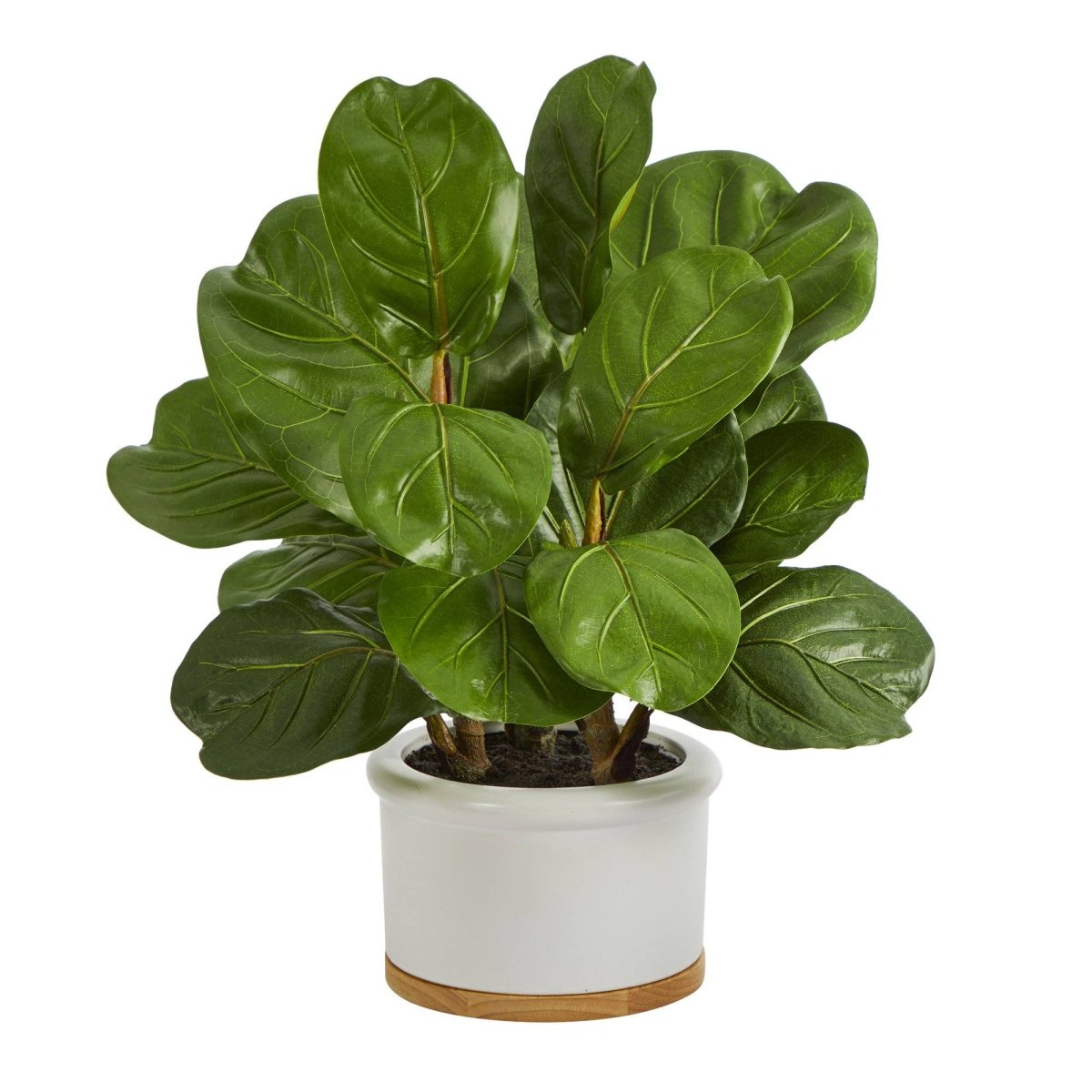 Nearly Natural 15” Fiddle Leaf Artificial Tree in White Planter