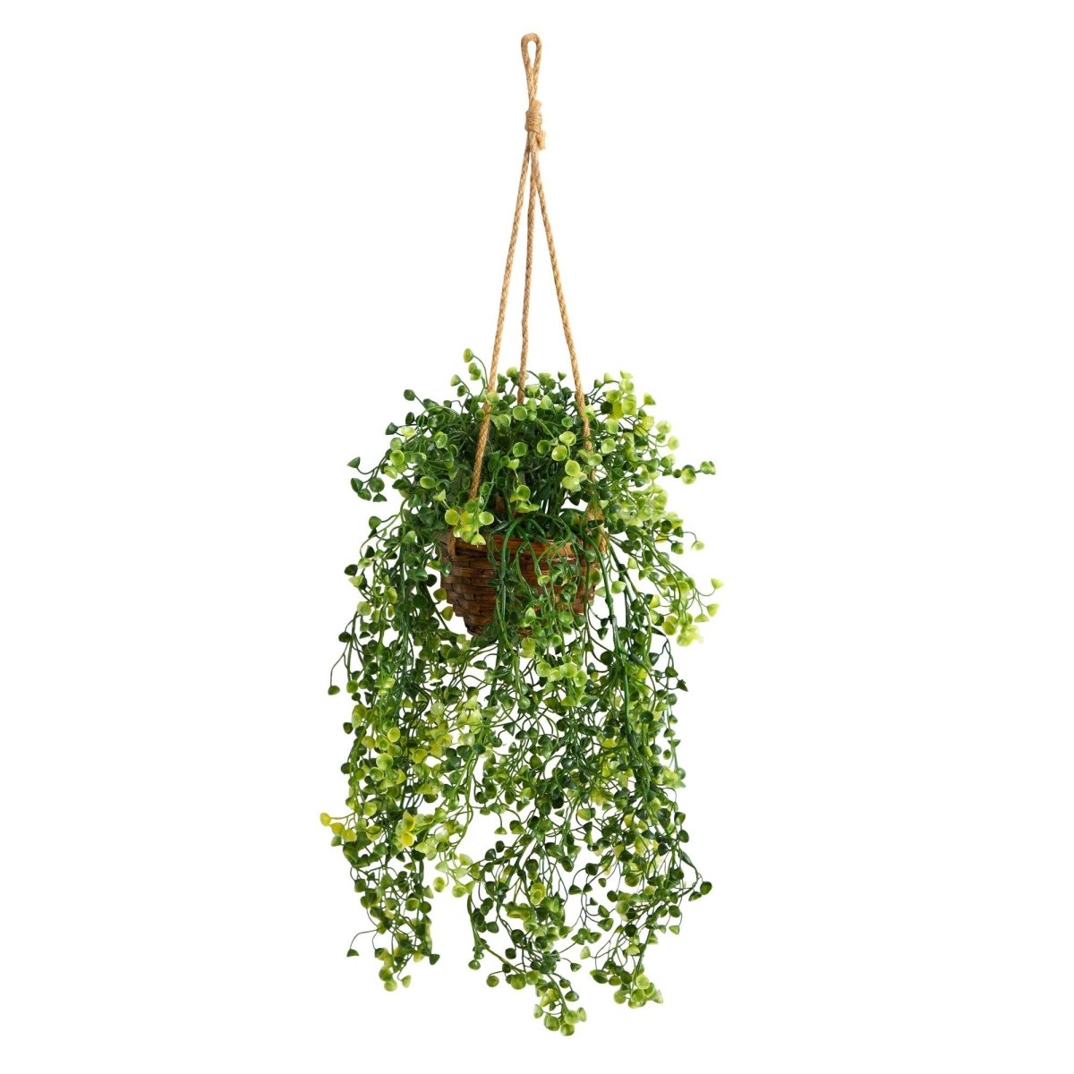 fake vine plant in pot Nearly Natural 20in. Baby Tear Artificial Plant in Hanging Basket