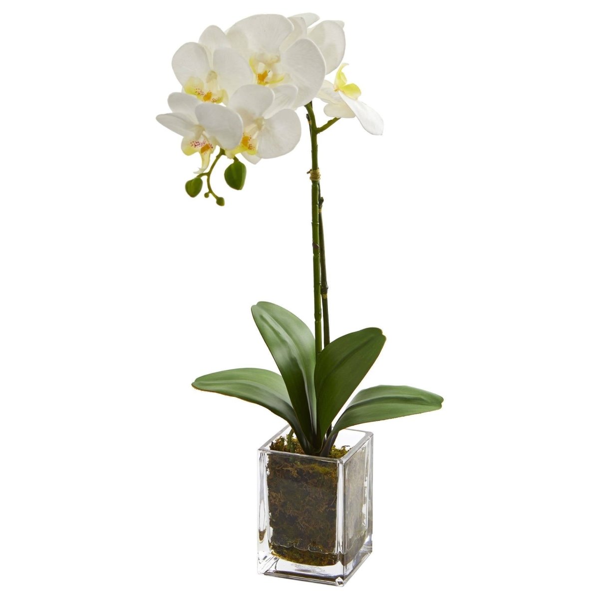 Nearly Natural 20” Orchid Phalaenopsis in vase