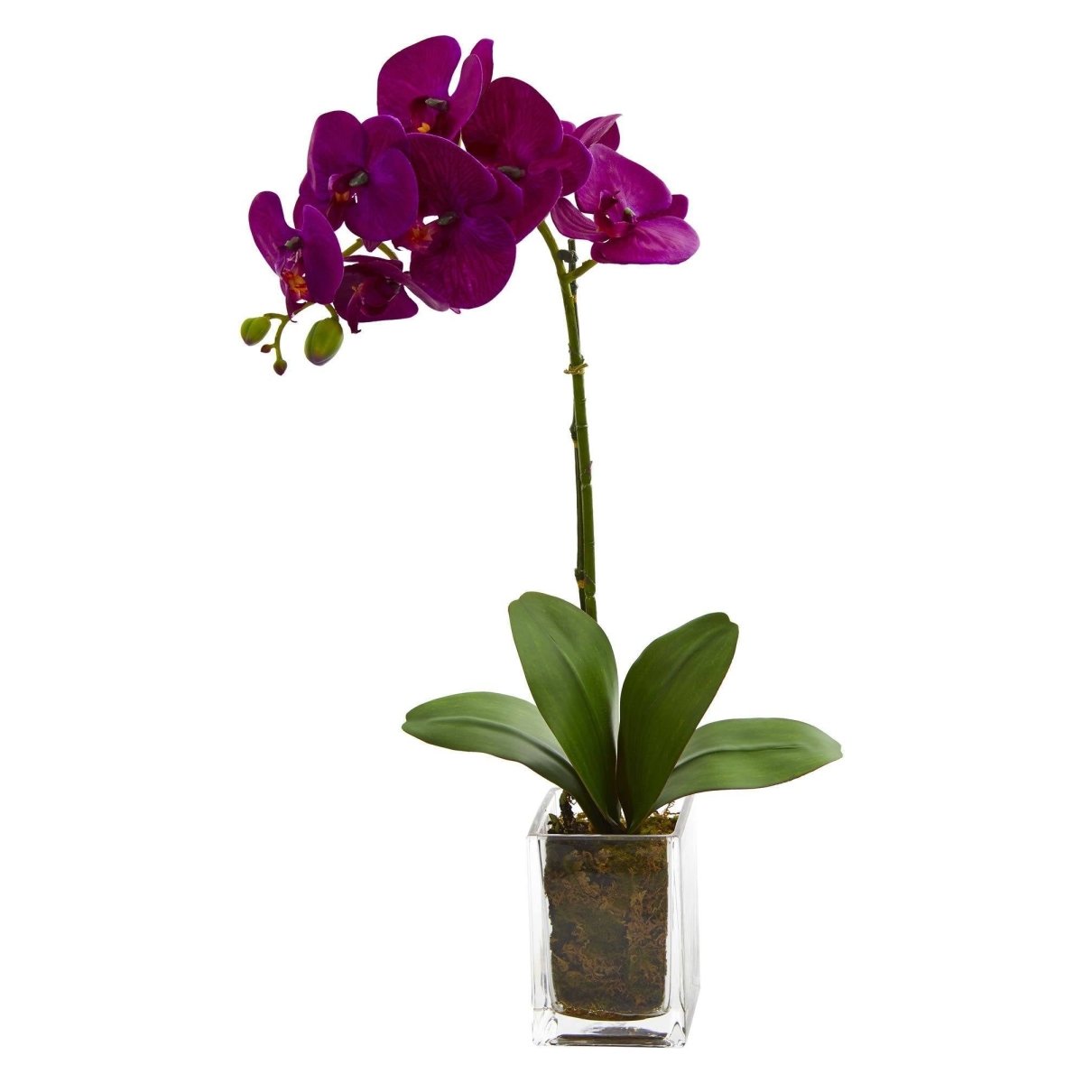 Nearly Natural 20” Orchid Phalaenopsis in vase