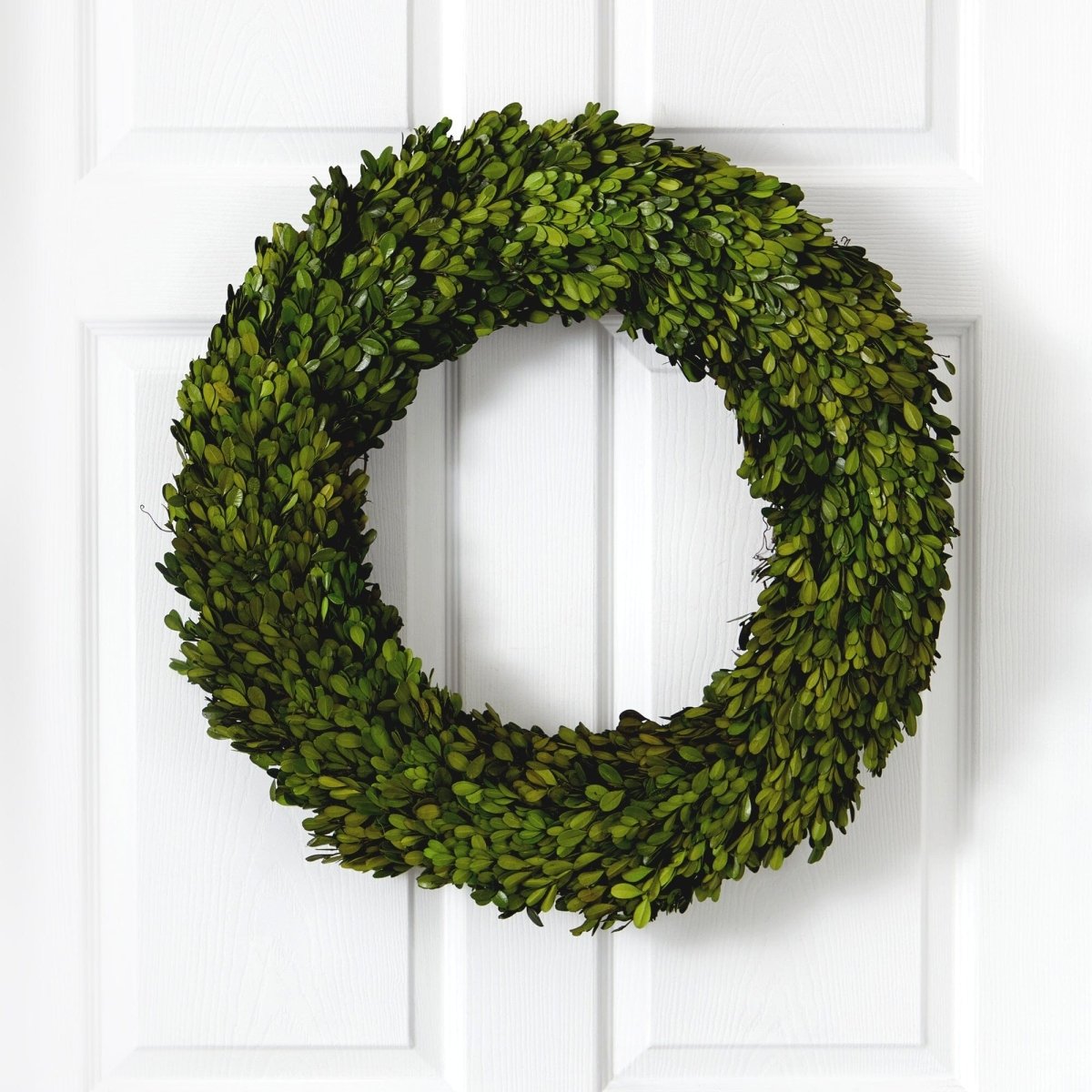 Nearly Natural 24" Preserved Boxwood Wreath - Natural Green Year - Round Door Decor