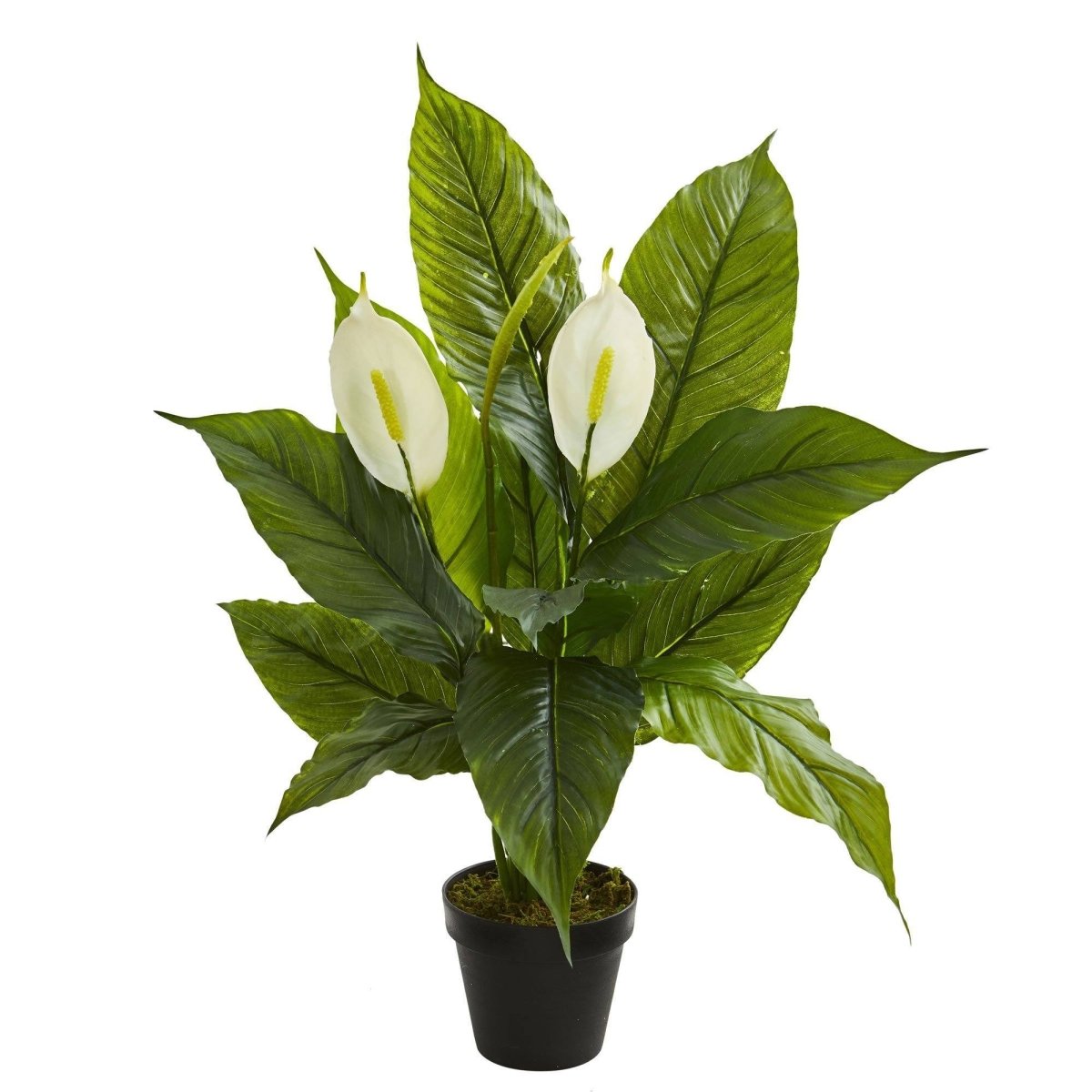 Nearly Natural 26" Real Touch Peace Lily Artificial Plant - White Blooms