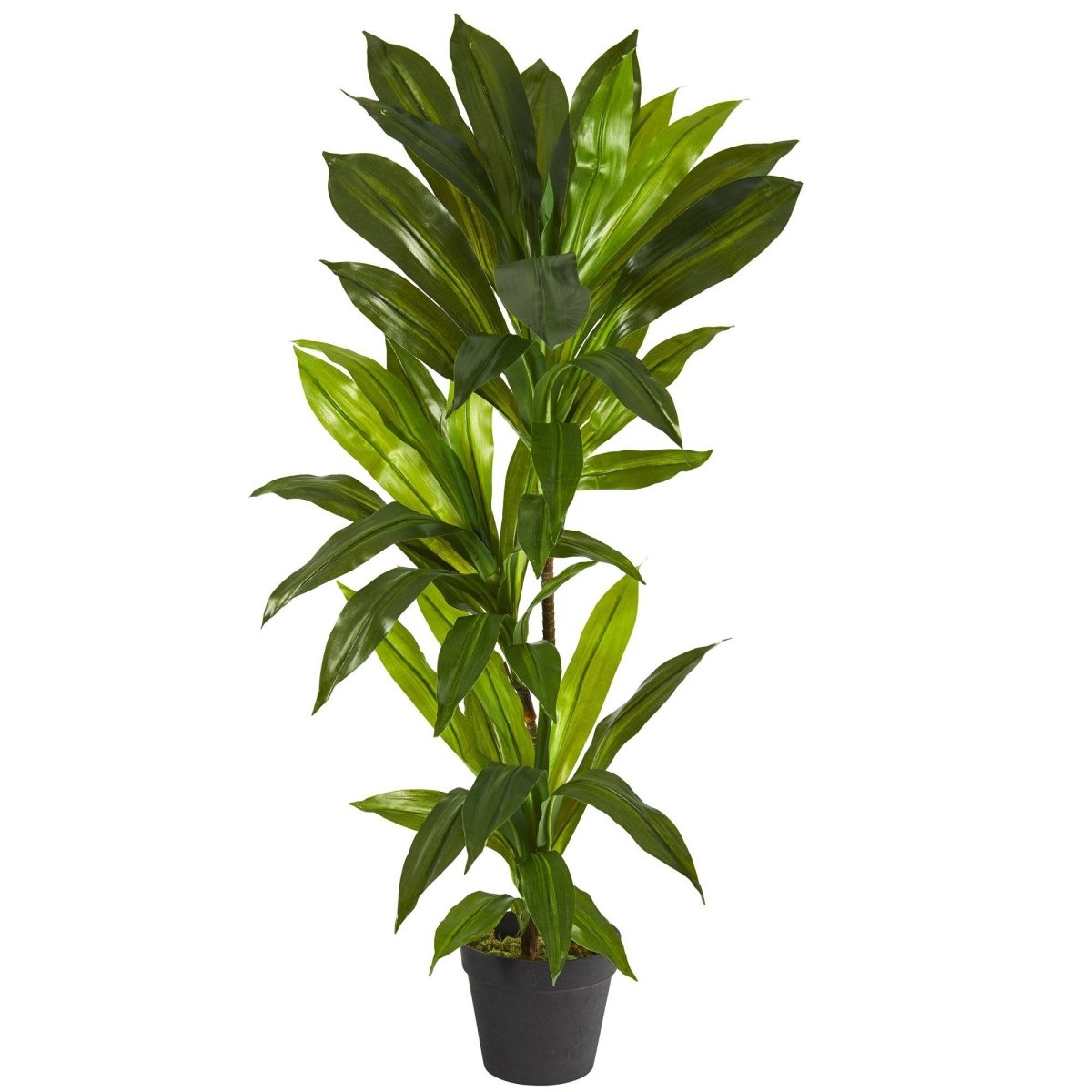 Nearly Natural 3' Dracaena Artificial Plant (Real Touch)