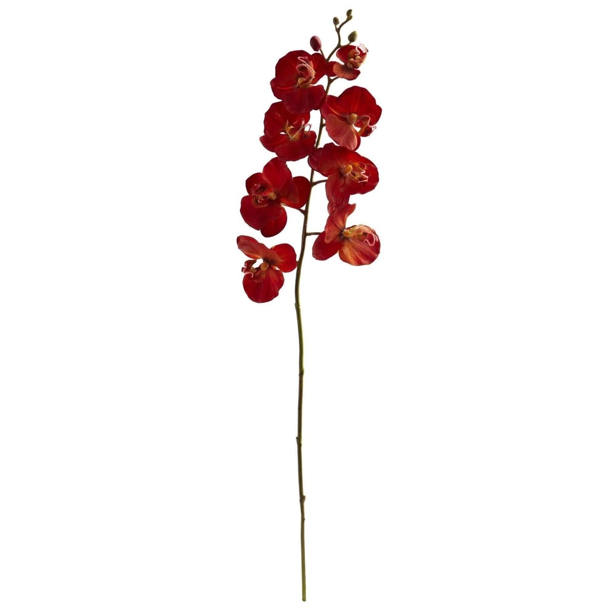 Nearly Natural 30” Autumn Phalaenopsis Artificial Flower (Set of 6)