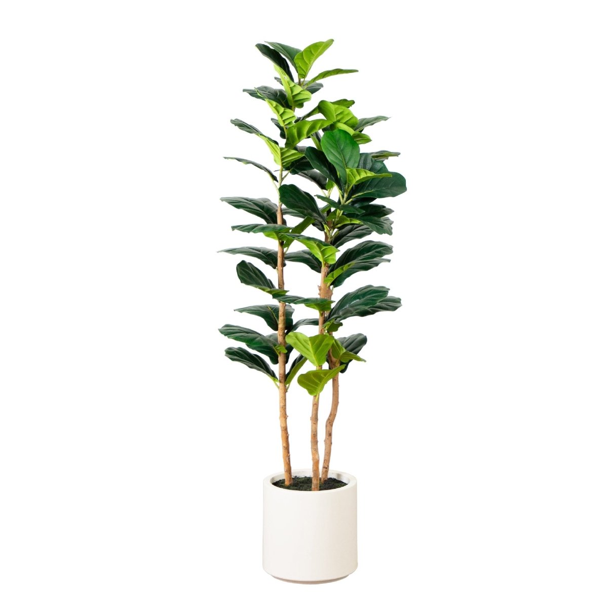 Nearly Natural 5’ Artificial Fiddle Leaf Tree in White Planter
