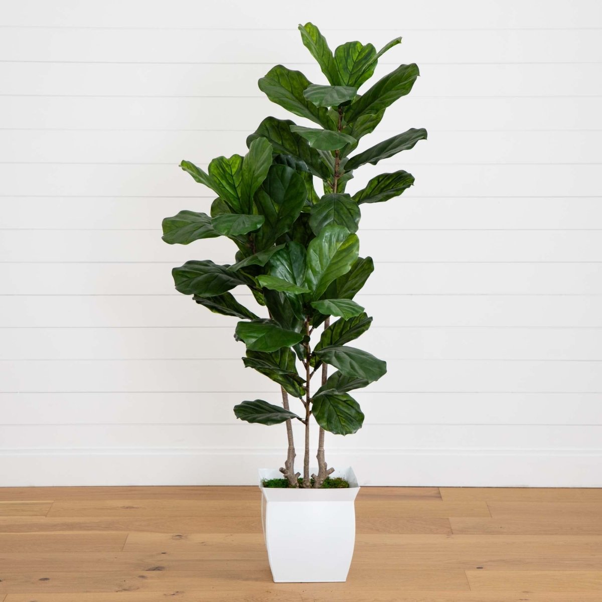 Nearly Natural 5.5’ Fiddle Leaf Artificial Tree in White Metal Planter(Indoor/Outdoor)