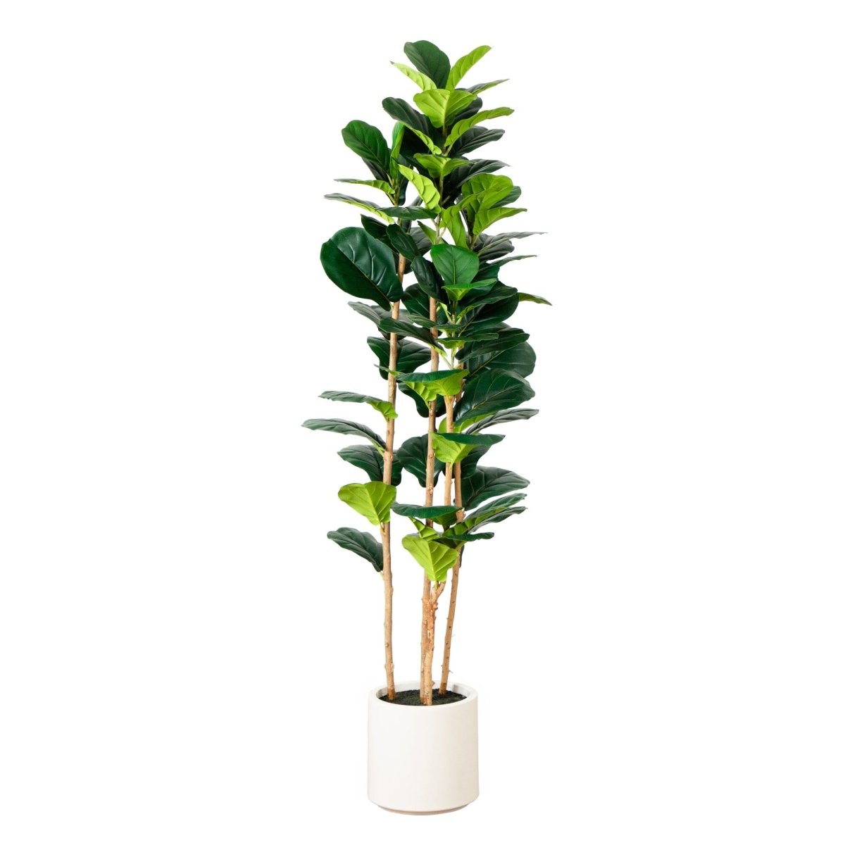 Nearly Natural 6’ Artificial Fiddle Leaf Tree in Decorative White Planter