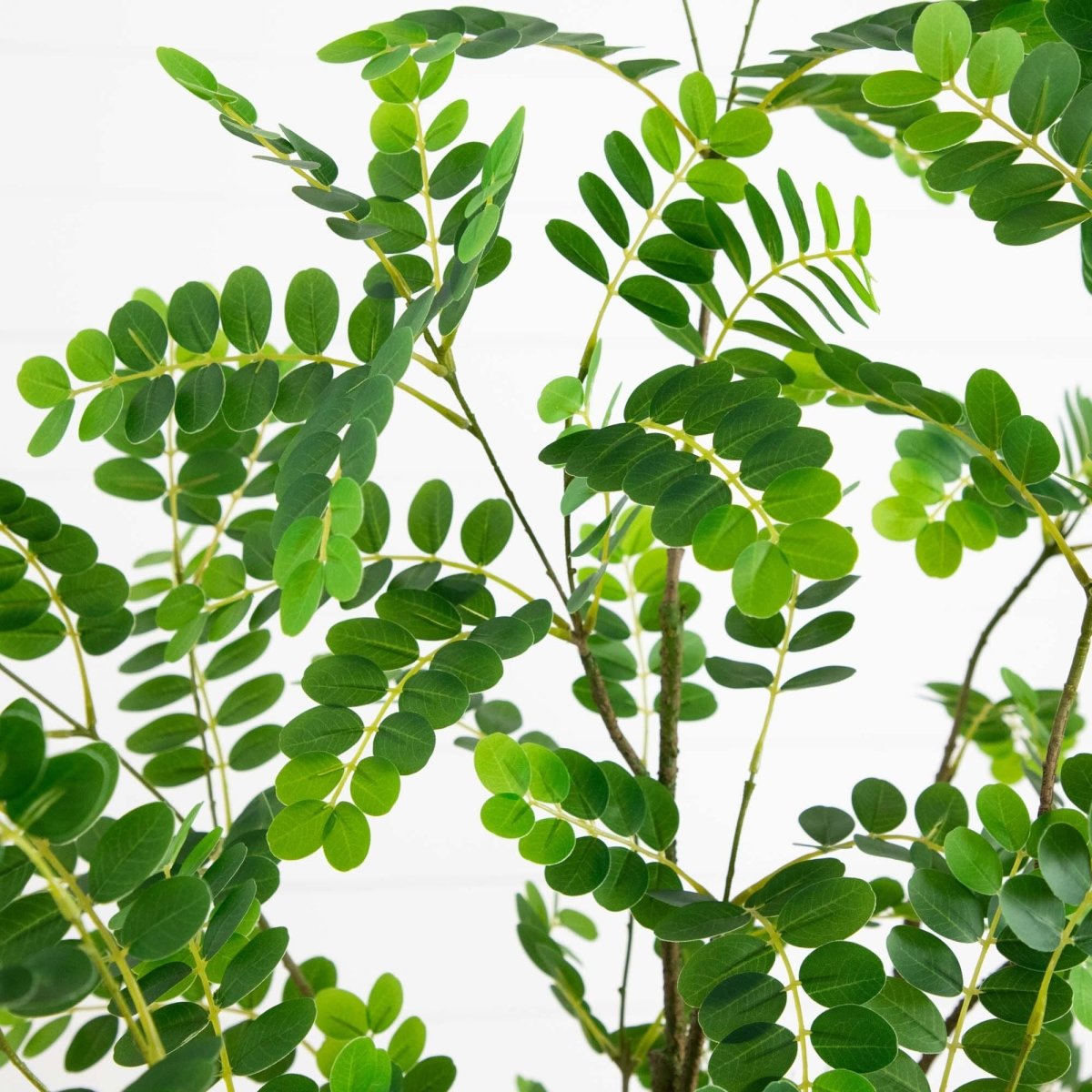 Nearly Natural 6’ Artificial Greco Citrus Tree with Real Touch Leaves