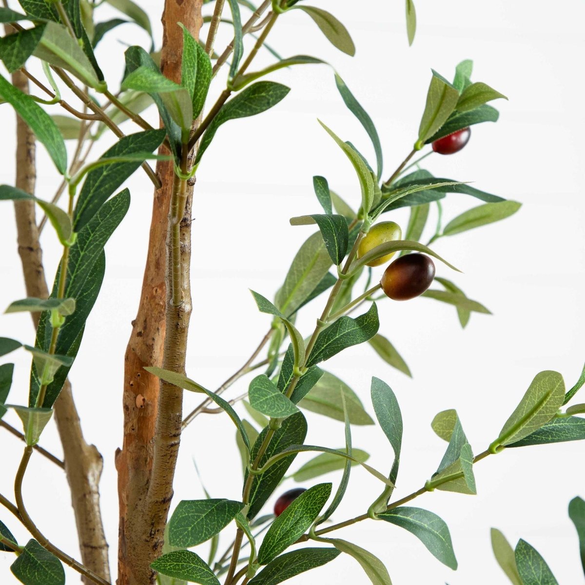Nearly Natural 6’ Artificial Olive Tree with Natural Trunk