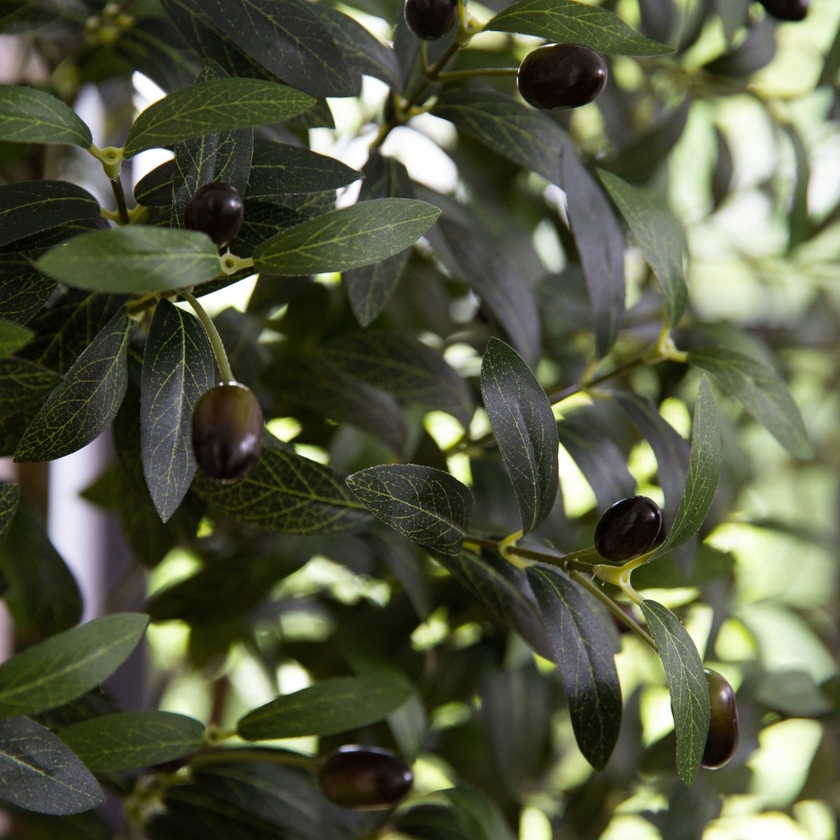 Nearly Natural 6’ Artificial Olive Tree with White Decorative Planter