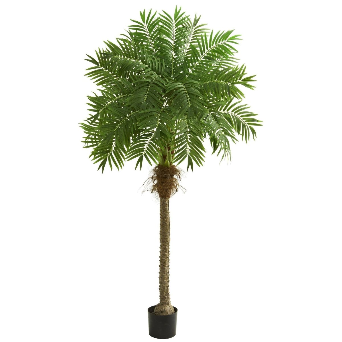 Nearly Natural 6' Robellini Palm Artificial Tree