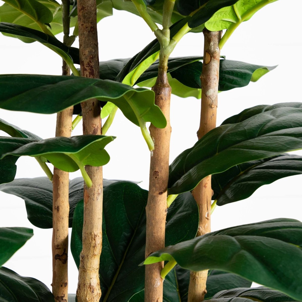 7' faux fiddle leaf fig tree Nearly Natural 7ft. Artificial Fiddle Leaf Tree in Decorative White Planter