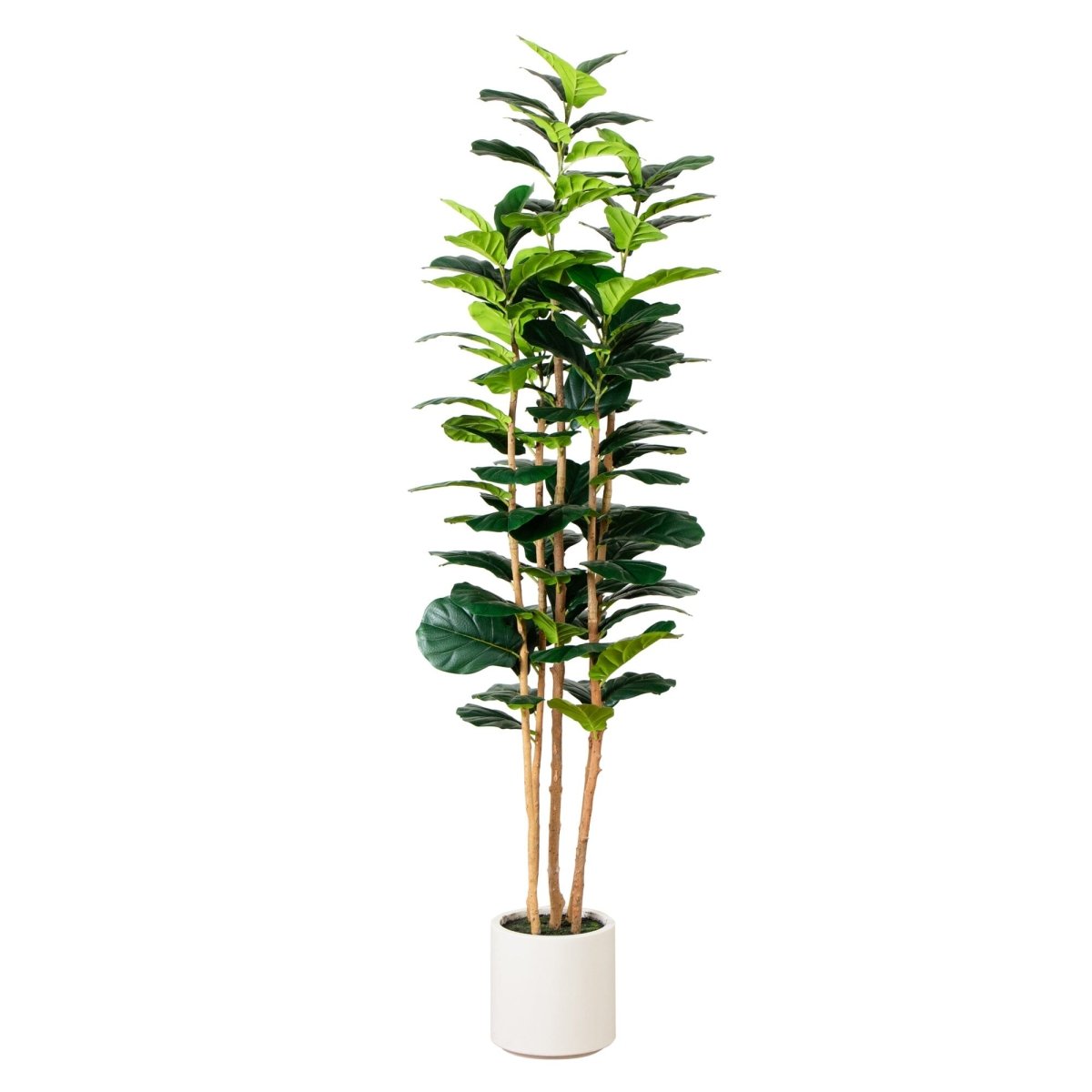Nearly Natural 7' Artificial Fiddle Leaf Fig Tree - Glossy Leaves, White Planter