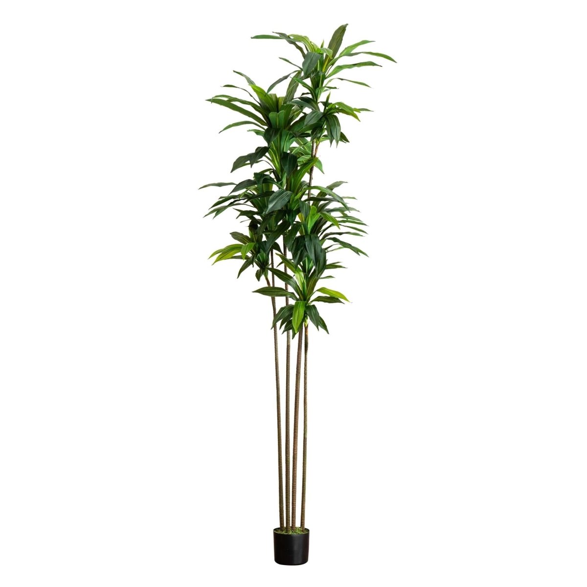 Nearly Natural 8’ Artificial Dracaena Tree with Real Touch Leaves