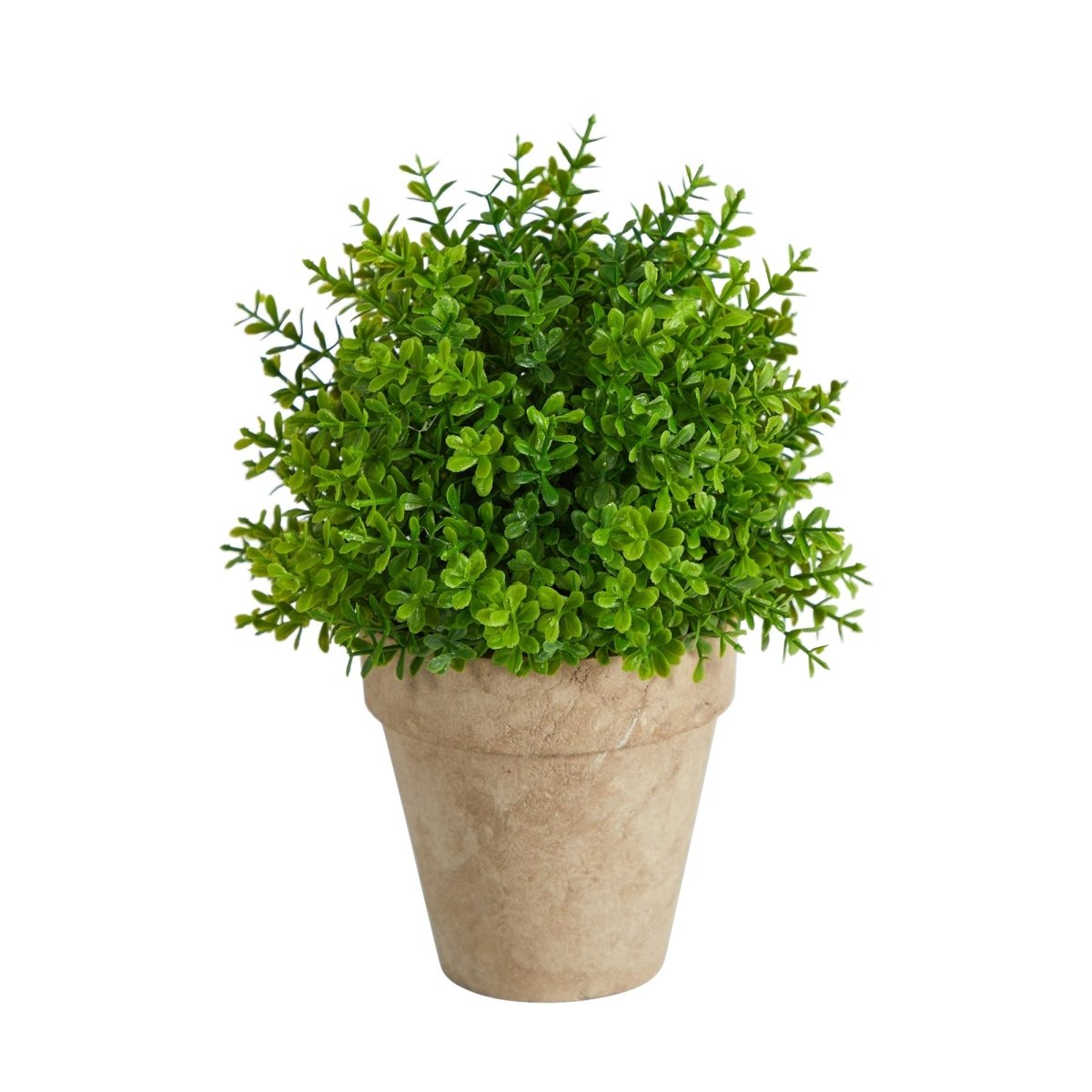 Nearly Natural 8" Boxwood Artificial Plant in Decorative Planter - Lifelike
