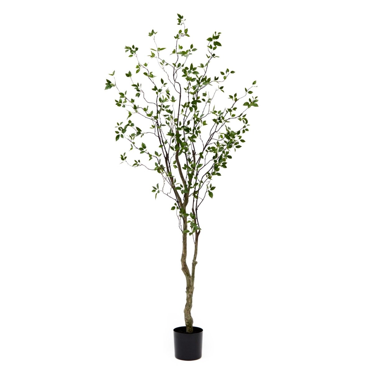Nearly Natural 8' Minimalist Citrus Artificial Tree
