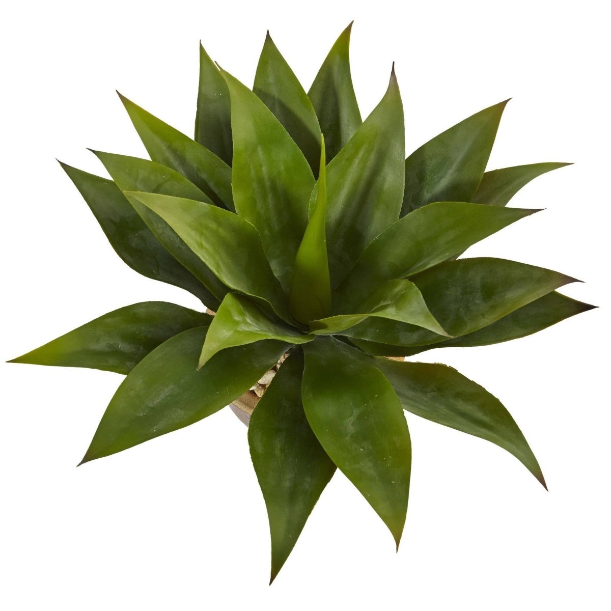 Nearly Natural Agave in Glazed Clay Pot