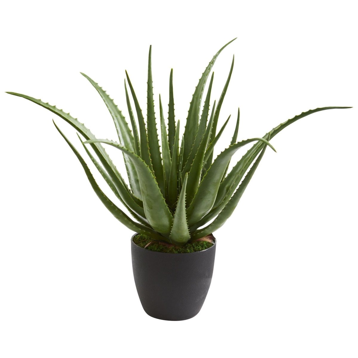 Nearly Natural Aloe Vera Artificial Plant in Black Planter
