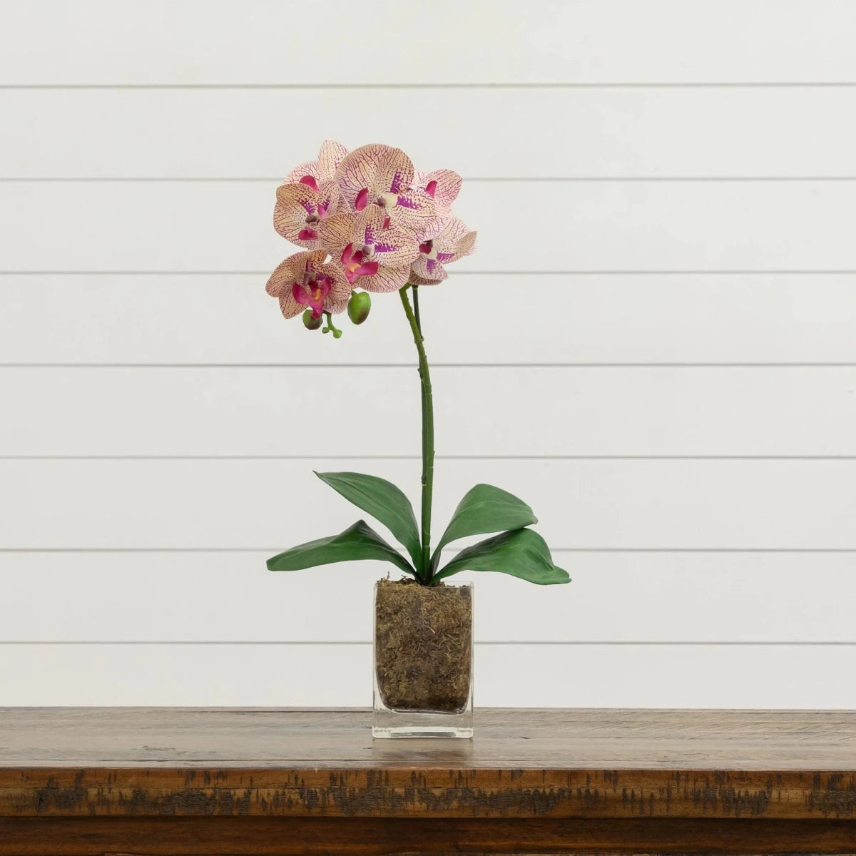 Nearly Natural Artificial Phalaenopsis Orchid in Clear Vase, 20"