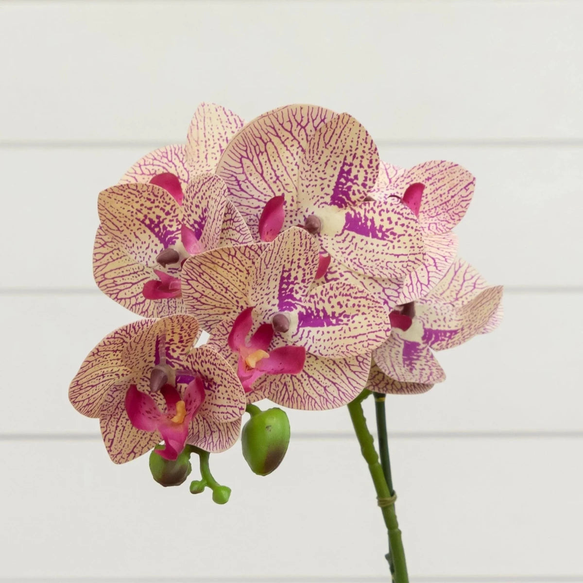 Nearly Natural Artificial Phalaenopsis Orchid in Clear Vase, 20"