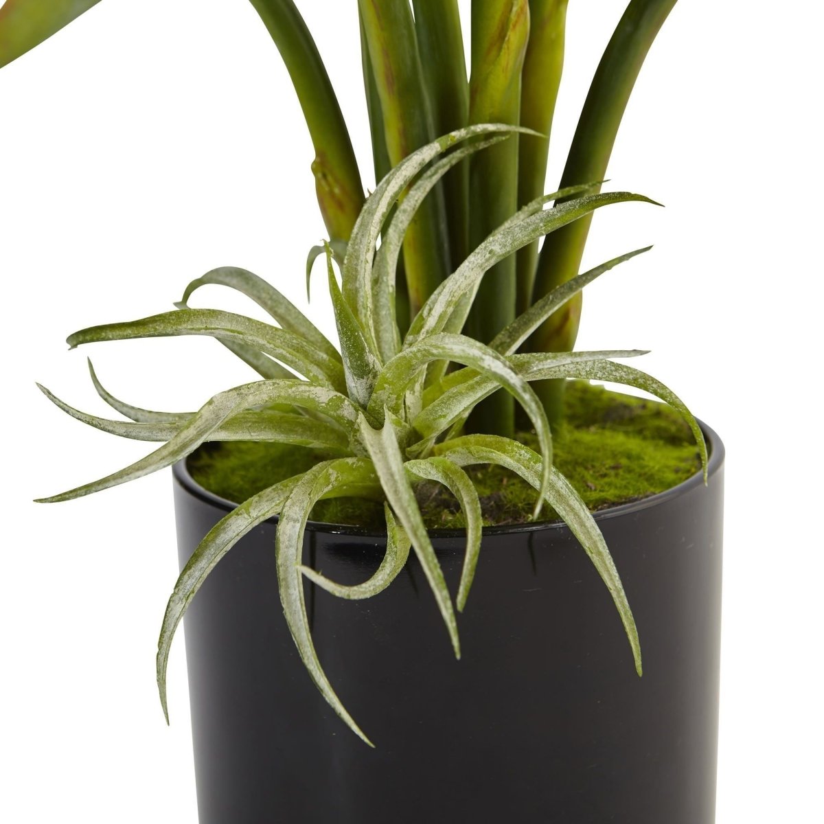 Nearly Natural Bird of Paradise in Black Glossy Cylinder