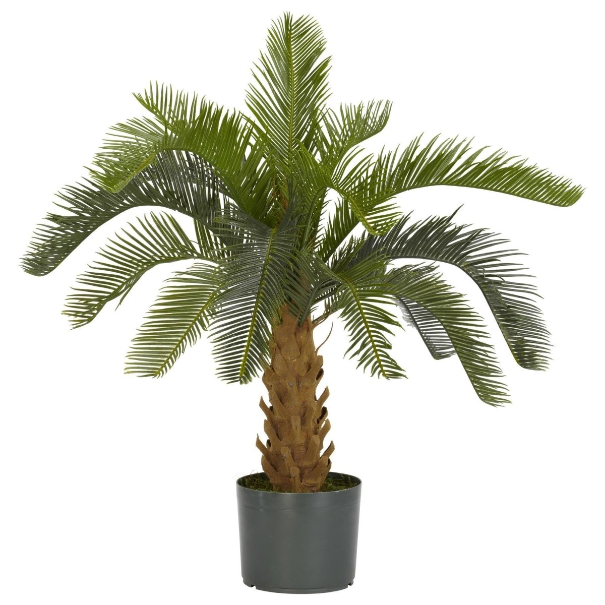 Nearly Natural Cycas Silk Artificial Plant