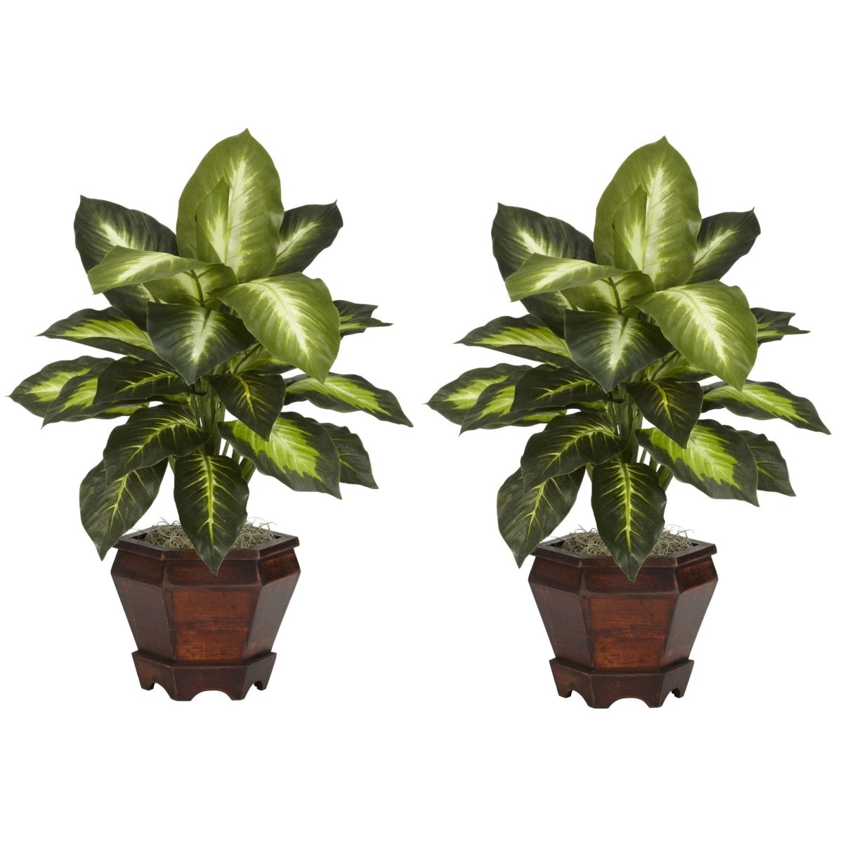 Nearly Natural Dieffenbachia w/Wood Vase Silk Plant (Set of 2)