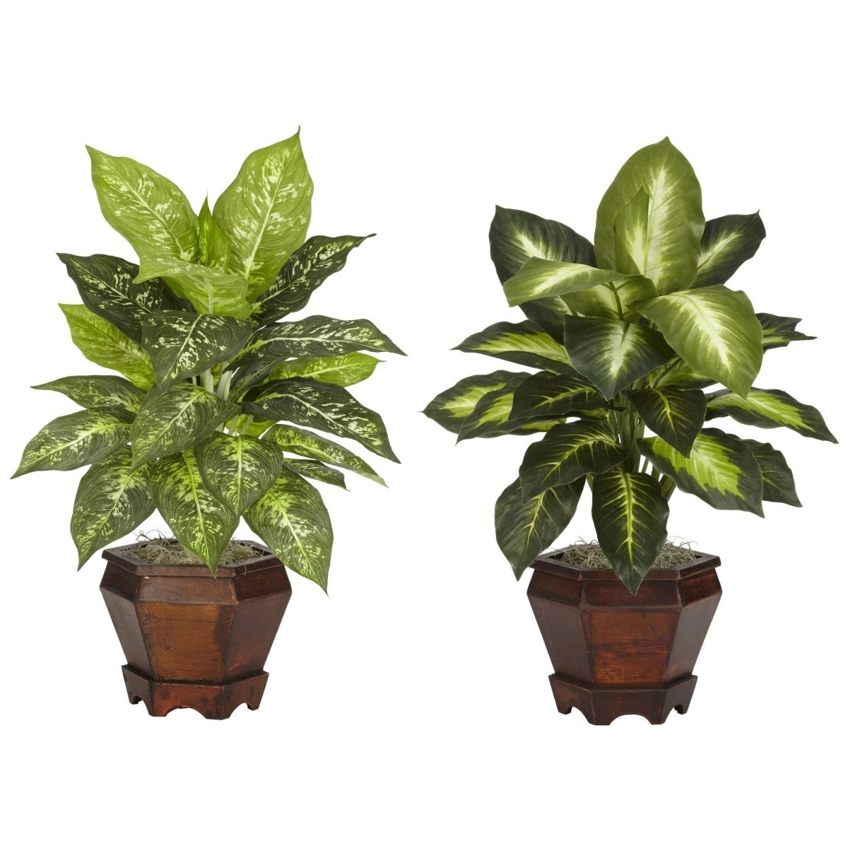 Nearly Natural Dieffenbachia w/Wood Vase Silk Plant (Set of 2)