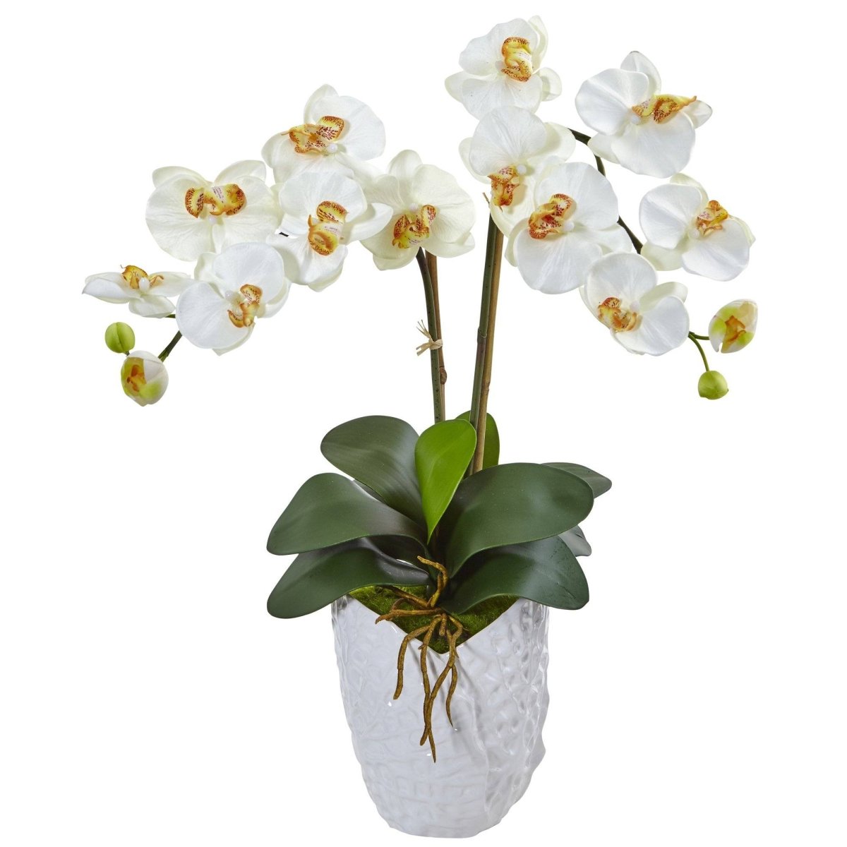 Nearly Natural Double Phalaenopsis Orchid in White Vase