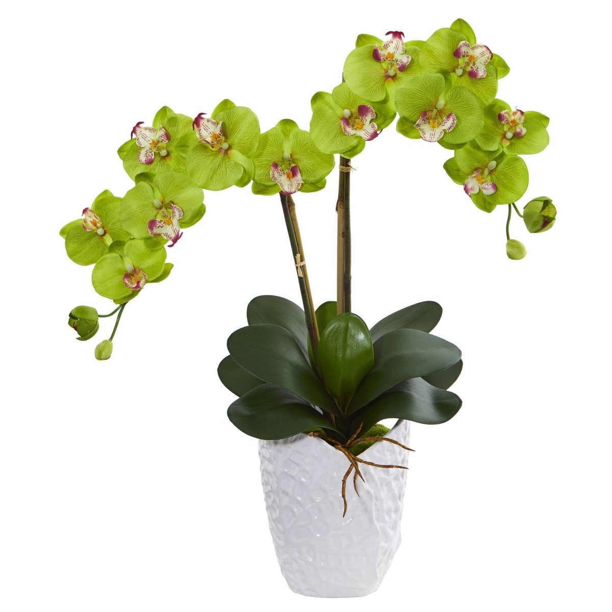 Nearly Natural Double Phalaenopsis Orchid in White Vase