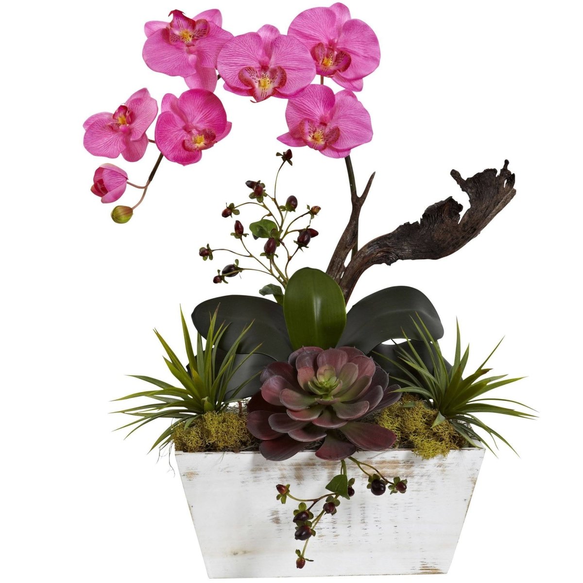 Nearly Natural Orchid & Succulent Garden with White Wash Planter