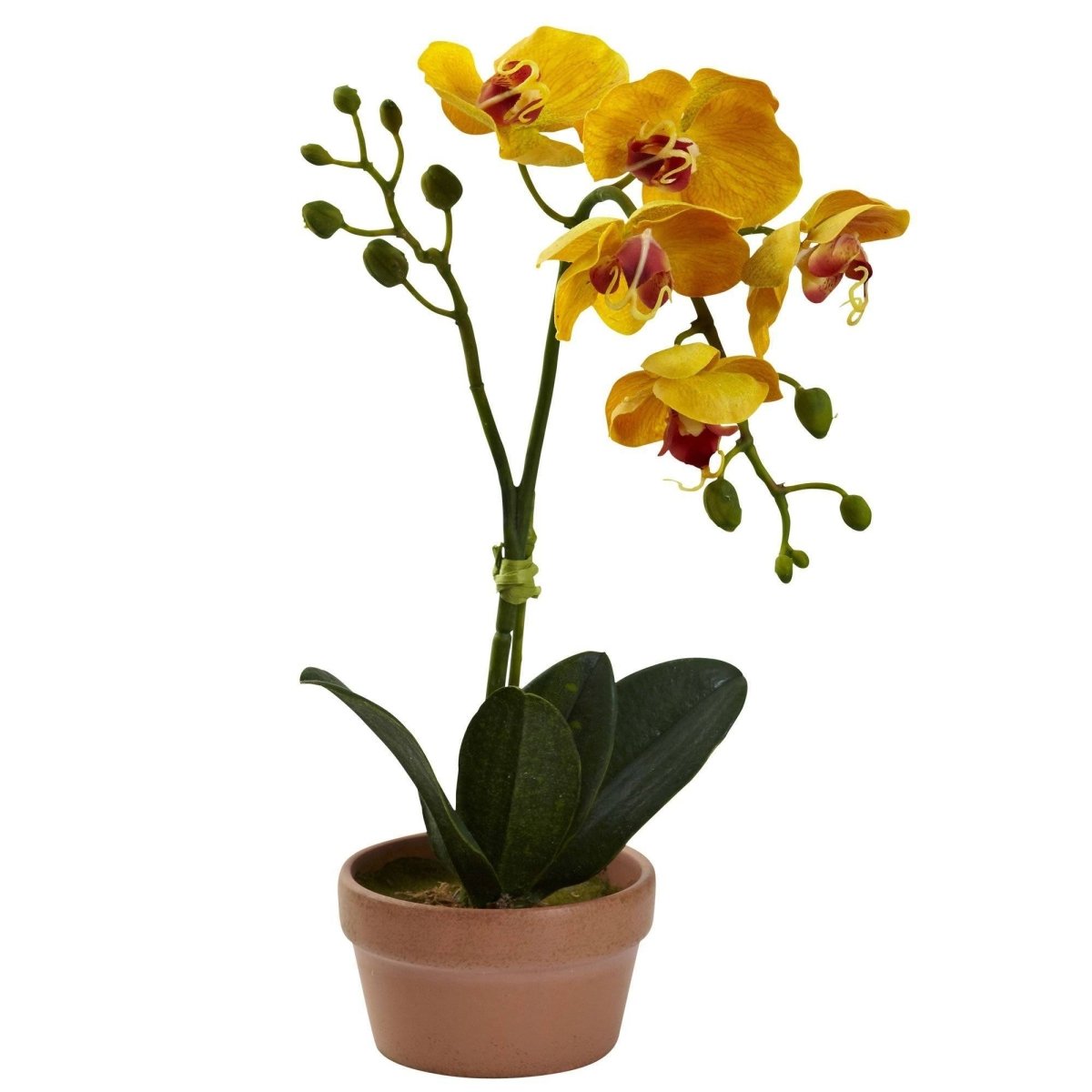 Nearly Natural Phalaenopsis Orchid w/Clay Vase (Set of 4)