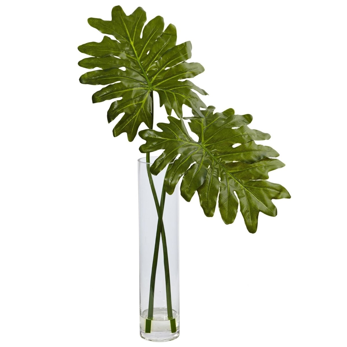 Nearly Natural Philodendron Selloum Stem Arrangement in Cylinder Glass