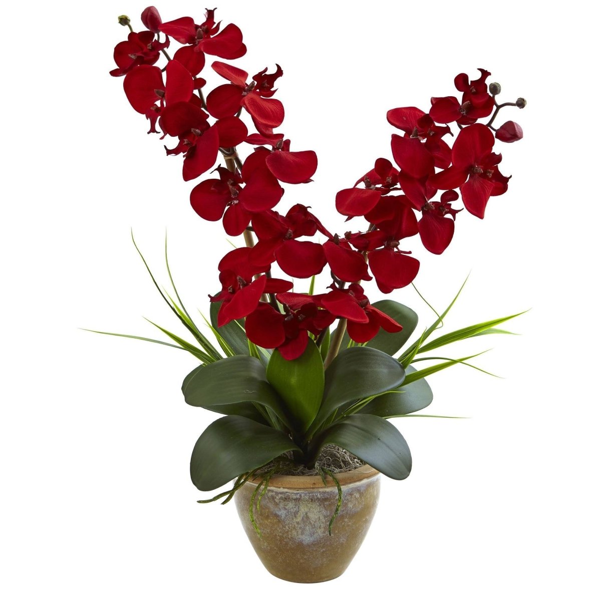Nearly Natural Seasonal Double Phalaenopsis Orchid Arrangement