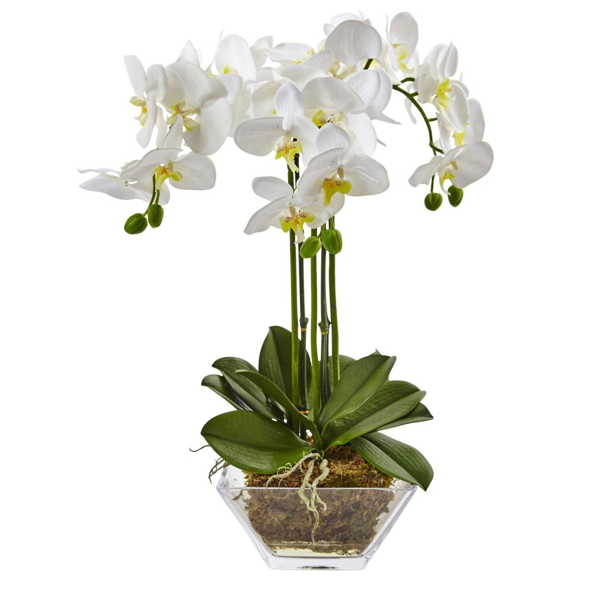 Nearly Natural Triple Phalaenopsis Orchid Arrangement in Glass Vase