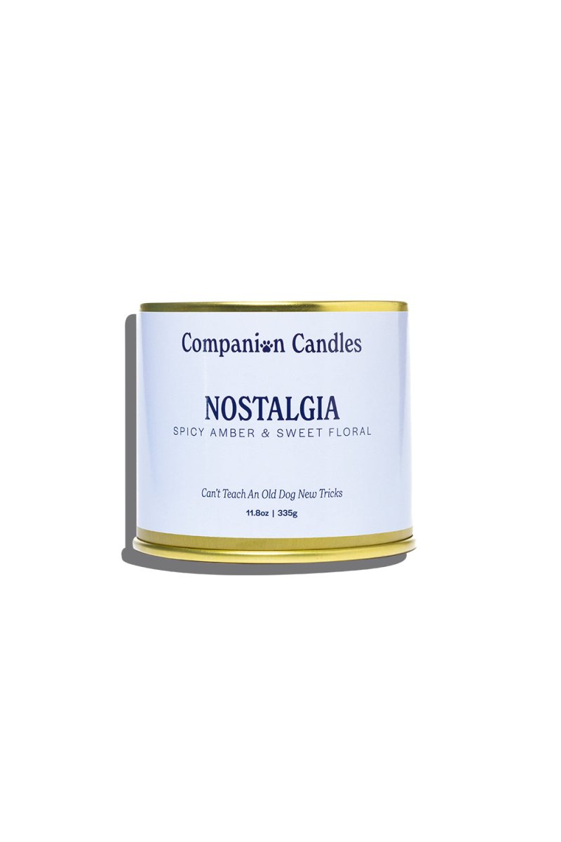 Companion Candles Nostalgia // Spicy Amber & Sweet Floral - lily & onyx
