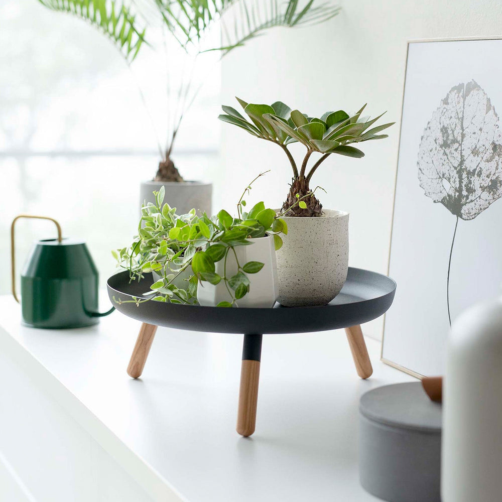 
                      
                        Countertop Pedestal Tray, 5" H
                      
                    